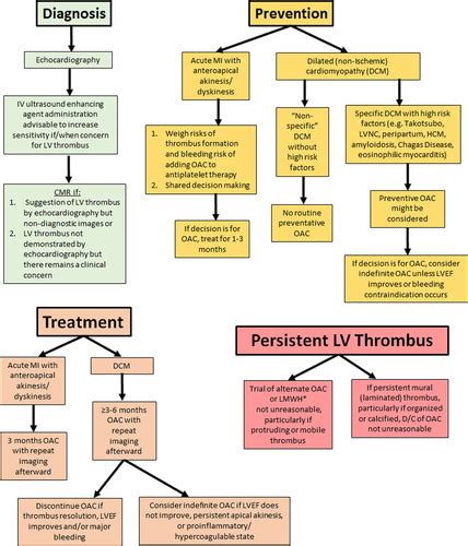 lv thrombus noac v warfarin|left ventricular thrombus risk management.